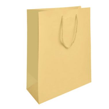 Ivory Tote Gift Shopping Bags, 8" x 4" x 10"