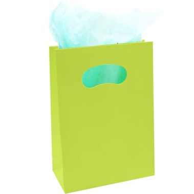Matte Citrus Green Tote Gift Shopping Bags, 4-1/4" x 2" x 6"