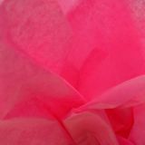 Hot Pink Gift Wrapping Tissue Paper | Gems on Display