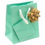 Glossy Teal Gift Shopping Bags with handle, 3