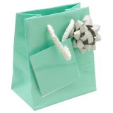 Glossy Teal Gift Shopping Bags with handle, 3