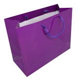 Glossy Purple Gift Bags - Wholesale | Gems On Display