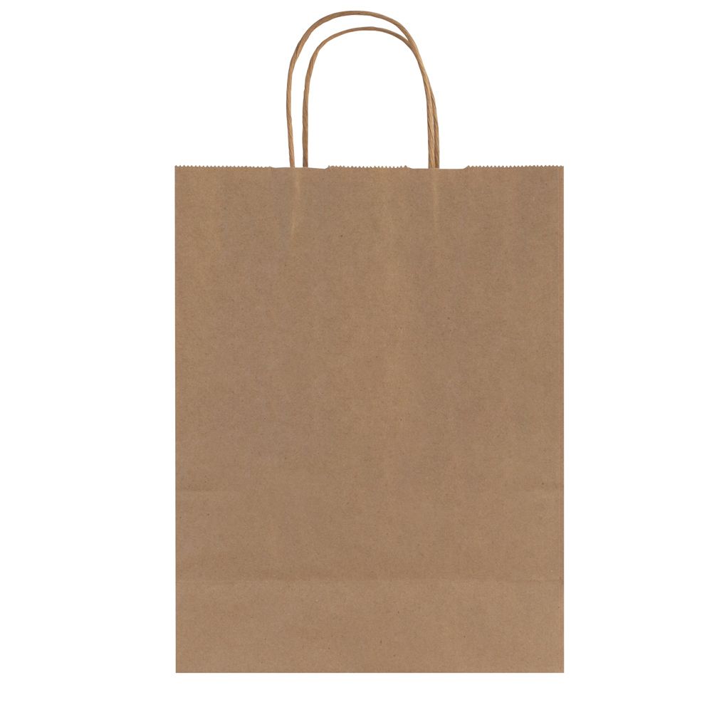 Custom Printed Craft Paper Shopping Bags with Handles