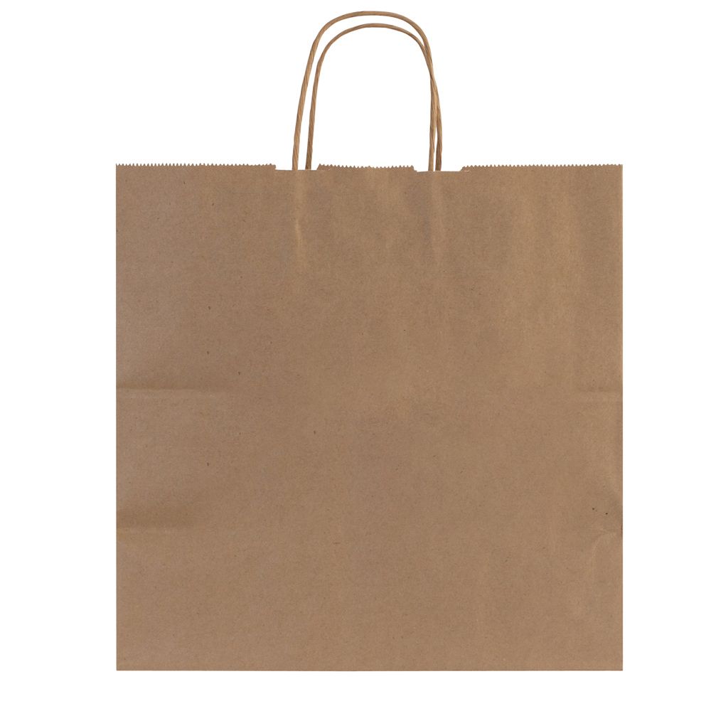 Custom Printed Brown Kraft Paper Shopping Bags