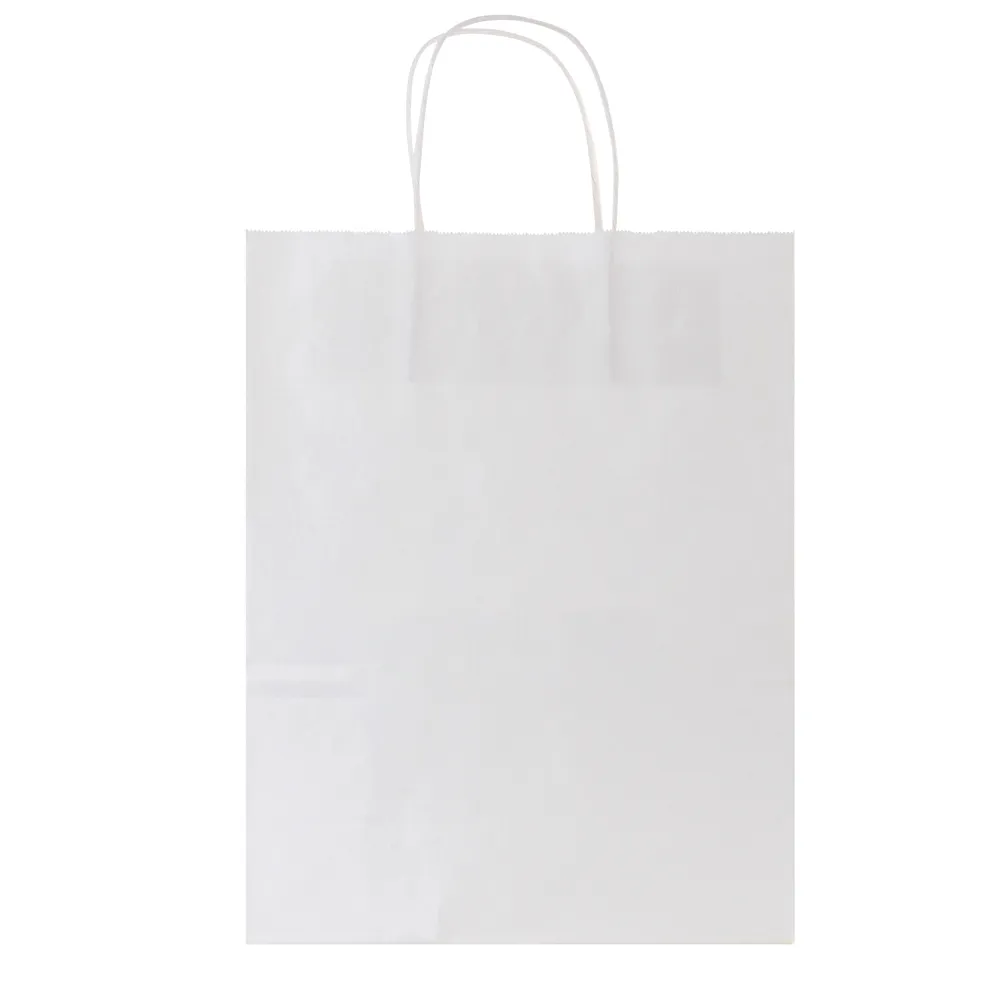 White Kraft Paper Shopping Bags with Strong Twist Handle – EcoQuality Store