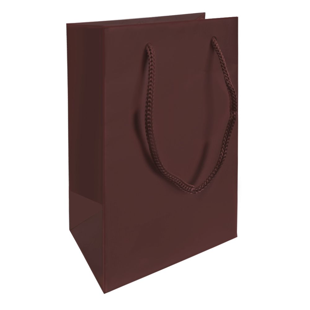 Brown Tote Gift Shopping Bags, 4-3/4