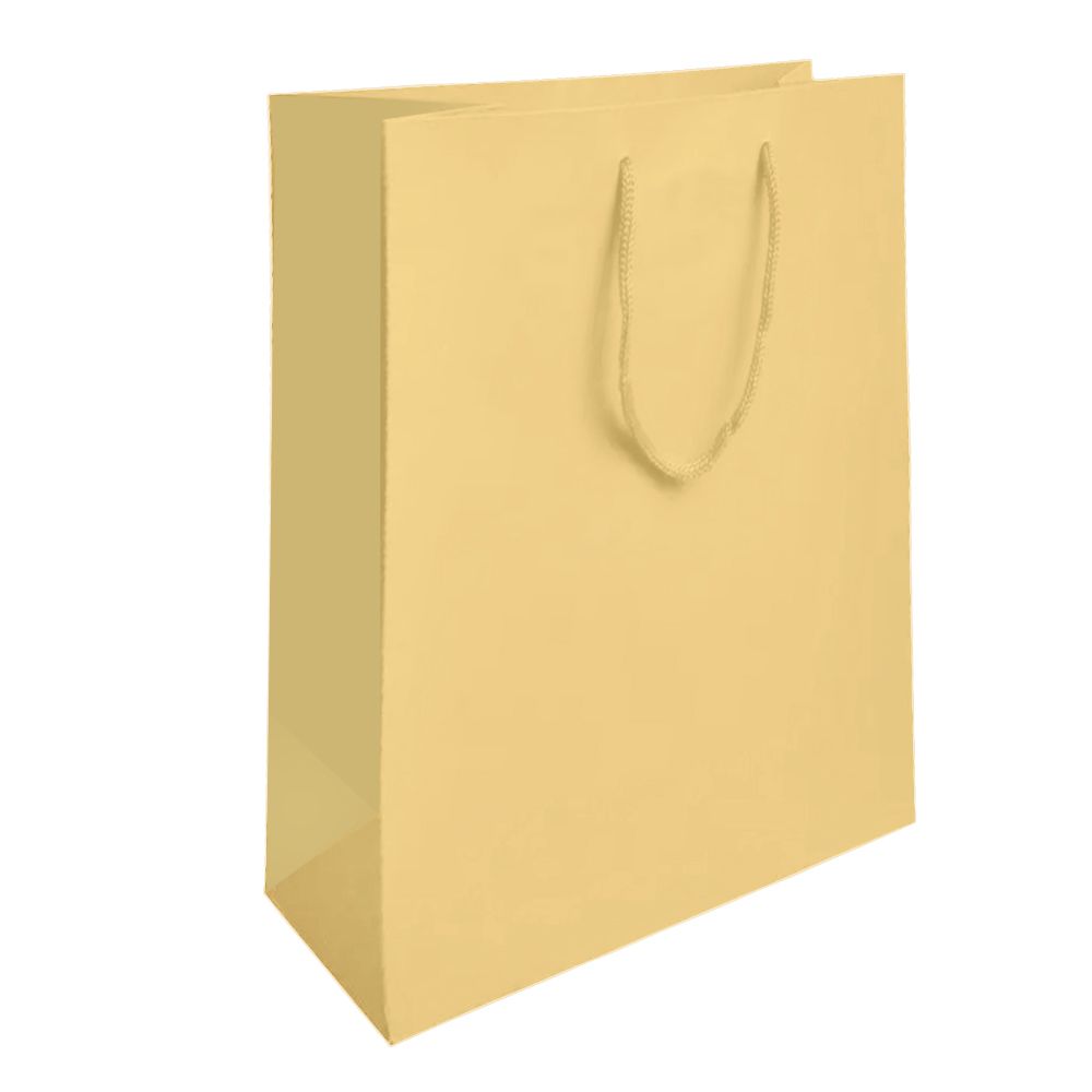 Ivory Tote Gift Shopping Bags, 8