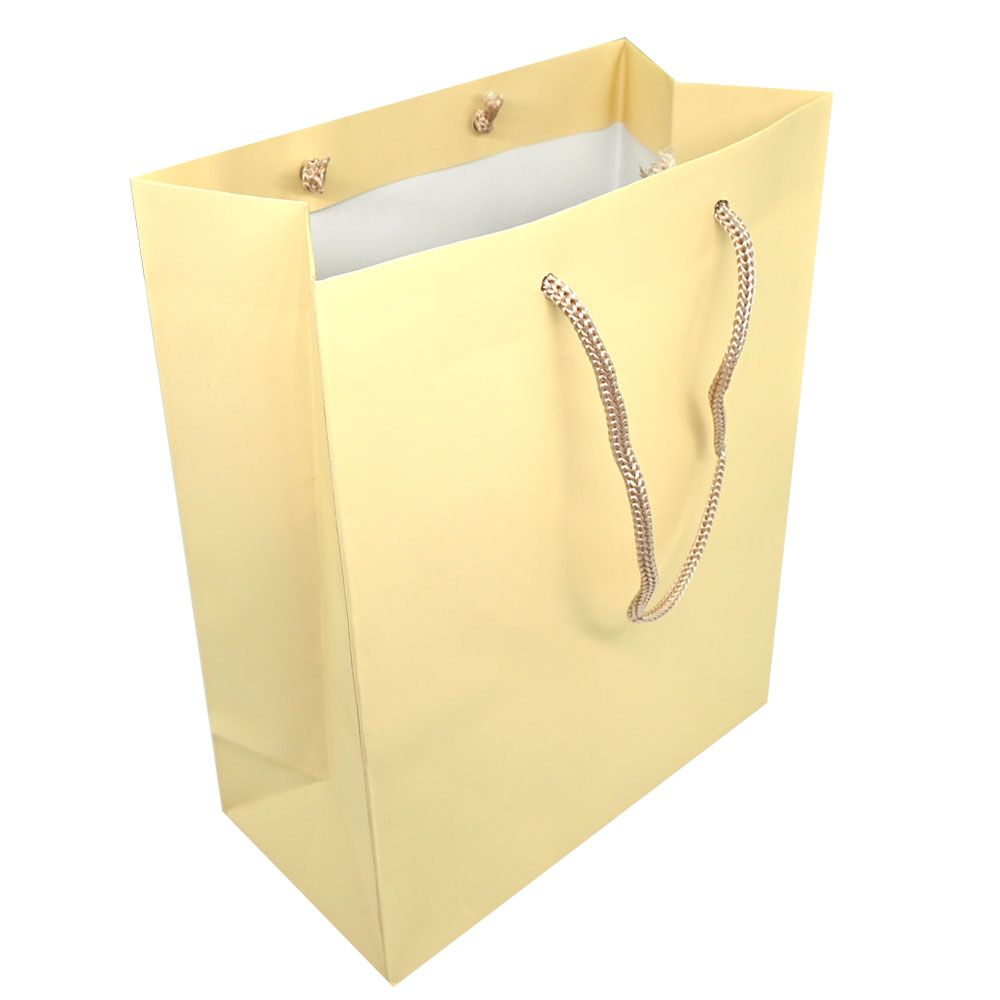 Ivory Tote Gift Shopping Bags, 8